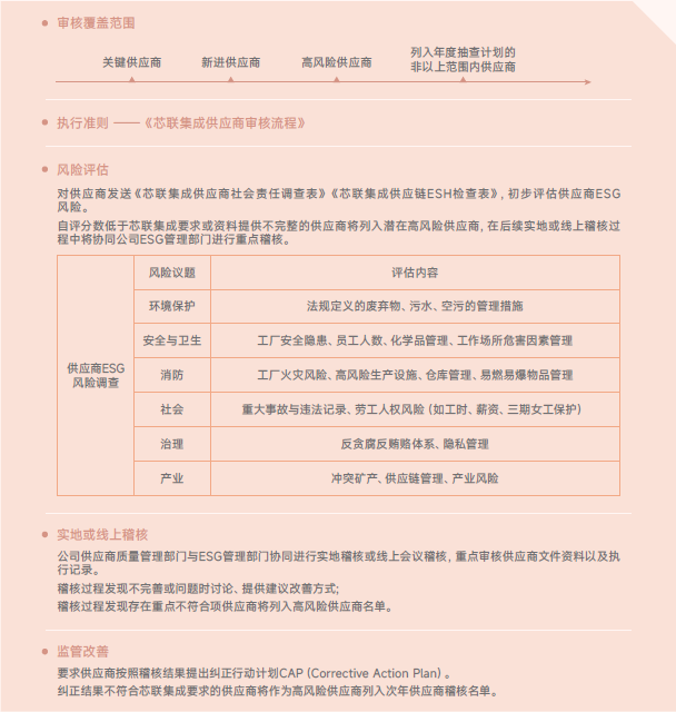 卓越治理 - 可持续供应链- 供应商审核.png